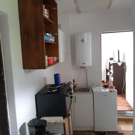 Vila Bistrik Villa *
